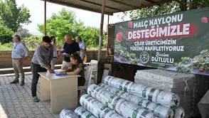 Manisalı çilek üreticisine yüzde 75 hibe desteği