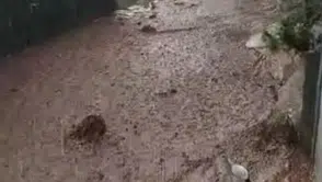 Kayseri Yahyalı'da sel felaketi araçları ve evleri yuttu