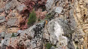 Dağların gizemli yolcusu Gümüşhane semalarında görüntülendi