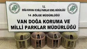 Çatak’ta kınalı keklikleri aracına dolduran sürücüye büyük ceza