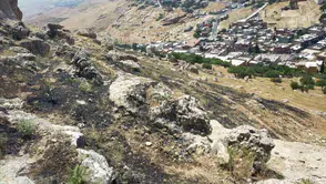 Mardin Yeşilli’deki yangın büyümeden söndürüldü