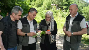 Artvin ormanlarına kestane nöbeti için 5 bin özel arı bırakıldı
