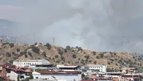 Nazilli’deki zeytinliklerde korkutan yangın