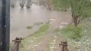 Bolu Gerede’de sağanak yağış köyü sular altında bıraktı