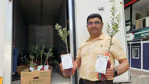 Belediye başkanından düğün davetiyle birlikte 5 bin zeytin fidanı