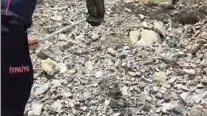 Osmaniyeli ailenin yatak odasında korkutan yılan paniği