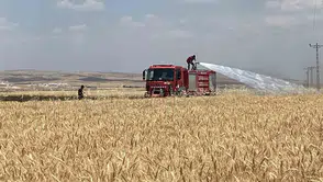 Mardin'de hasat zamanı 300 dönüm tarla küle döndü