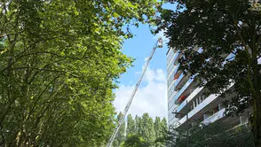 Belçika'da bir apartman dairesinde çıkan yangın paniğe yol açtı