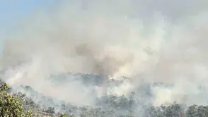 Uşak Eşme’de orman yangını paniği