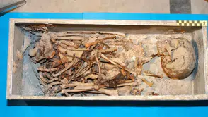 Medici hanedanındaki 500 yıllık cinayet şüphesini bitiren DNA analizi: Zehir değil sıtma çıkardı