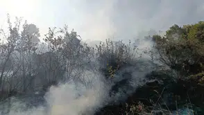 Bingöl alevlere teslim oldu ekipler müdahale etti