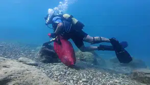 Antalya denizindeki Hıdırellez dilekleri balıkları öldürüyor