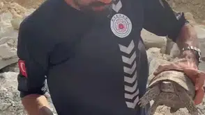Alevlerin arasından kurtarıldılar Kaş’ta koyun ve kaplumbağa için seferberlik