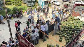 Zileli çiftçiden 20 tonluk karpuz ziyafeti