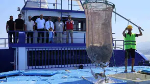 Hatay’ın balığı sofraları Avrupa’da kuruyor