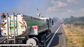 Edirne Meriç'te orman yangını paniği kontrol altına alındı