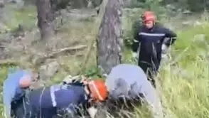 Bolu'da 50 metrelik uçuruma düşen inek vinçle kurtarıldı