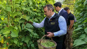 Bilecik’in meşhur boncuk fasulyesinde hasat vakti geldi