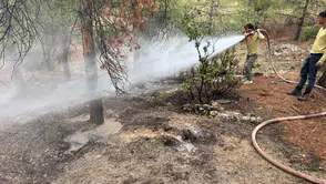 Kilis'te yıldırım düşen ormanlık alanda yangın paniği