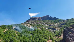 Munzur Vadisi'ndeki orman yangını söndürüldü