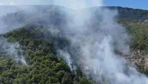 Sinop’ta ormanlık alanda alevler yükseliyor
