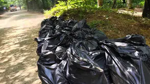 Belgrad Ormanı'ndaki çöp krizine ekipler müdahale etti