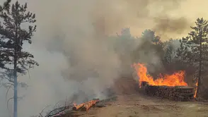 Bolu Göynük ormanlarında çıkan yangın ekipleri harekete geçirdi