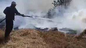Beyşehir’de sazlık yangını ormana ulaştı, ekipler 5 saat mücadele etti