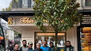 Fatih'te ağaç katliamına belediyeden yeşil yanıt: Yerine daha görkemlisi dikildi