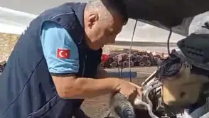 Pazarcı esnafının sabah sürprizi: Minibüsün motorundan gelen ses herkesi harekete geçirdi