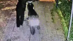 Reyhanlı'da gece yarısı operasyonu: Avluya giren maskeli hırsızlar kamerada