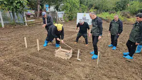 Zonguldak'ta orman köylüsüne yeni umut: Salep üretimiyle 3 milyon liralık dev gelir hedefi