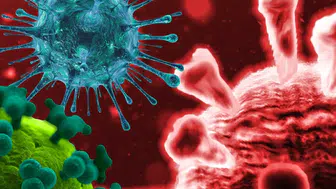 Kongo’da Ebola alarmı 2026: Ölümcül Bundibugyo suşu nedir, aşısı var mı? Türkiye için risk var mı?
