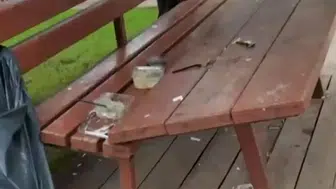 Eskişehir'de park keyfi yerini öfkeye bıraktı: Ortak yaşam alanına çirkin saldırı