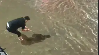 Batman'da akşam saatlerinde kabus: Şehir merkezinde hayat durma noktasına geldi