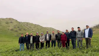 Antep fıstığında verim krizi için uluslararası çözüm: Karabük Üniversitesi devrede