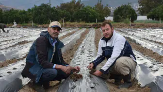 Plazadan toprağa uzanan bir yaşam tercihi: Menemen'de organik tarım bayrağı el değiştiriyor