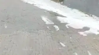 Arsuz'da doğa öfkesini gösterdi: Tarım alanları sular altında kaldı