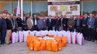 Bilecik topraklarında sarı altın dönemi: 11 bin dekarlık dev hamle