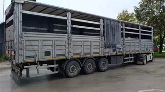 Sakarya'da şüpheli hayvan sevkiyatına jandarma engeli