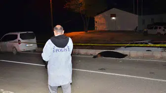 Besni'de yolun karşısına geçmek isterken canından oldu