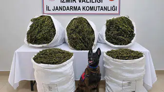 Tire'deki operasyonun bilançosu ağır oldu: Tonlarca uyuşturucu madde ele geçirildi