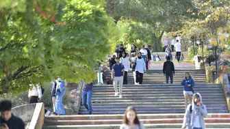 Muğla'nın iklim vizyonu dünya sahnesine taşınıyor: 11 özgün proje COP31'de Türkiye'yi temsil edecek