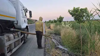 Batman yollarında meyve hasadı hayali: Fidanlar titizlikle büyütülüyor