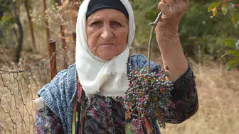78 yaşındaki Zeynep teyzenin bitmeyen enerjisi: Çocukluktan kalan mirasla dağların bereketini topluyor