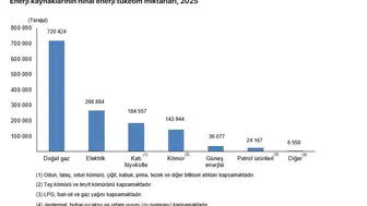 Evlerde enerji faturası kabardı: Tüketimin aslan payı ısınmaya gitti
