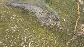 Bodrum'da korkutan alevler: Ekiplerin zamana karşı yarışı sonuç verdi