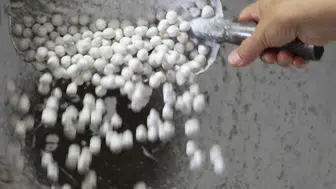 Asırlık lezzet Bolu fındık şekerinde hammadde krizi: Toplayacak genç nesil kalmadı
