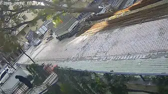 Avcılar'da saniyelerle gelen mucize: Devrilen ağacın altında kalmaktan kıl payı kurtuldu