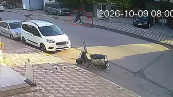 Sabah dersine yetişmek isterken dehşeti yaşadı: Okul yolunda köpek saldırısı